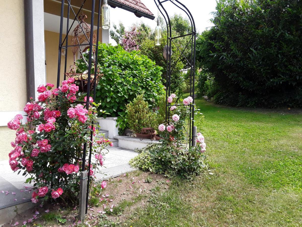 Anna'S Home - Ferienwohnungen Ratsch an der Weinstraße Zewnętrze zdjęcie